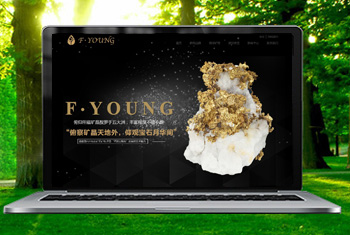 ��ͨ�������ﱦʯ